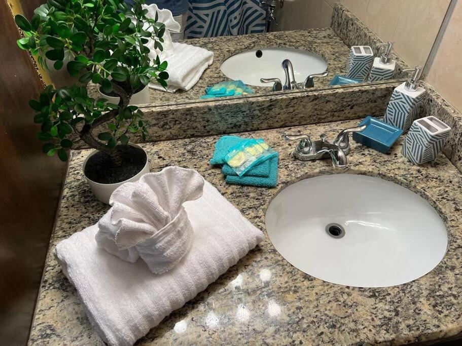 Cozy Affordable Studio Close To The Beach Apartment Hallandale Beach Exterior photo